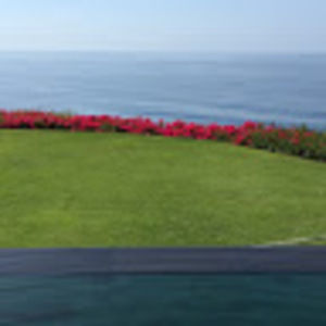 Meet your Posher, Dmitri